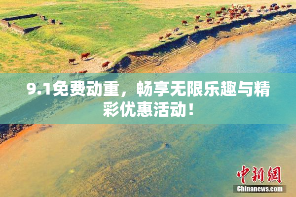 9.1免费动重，畅享无限乐趣与精彩优惠活动！