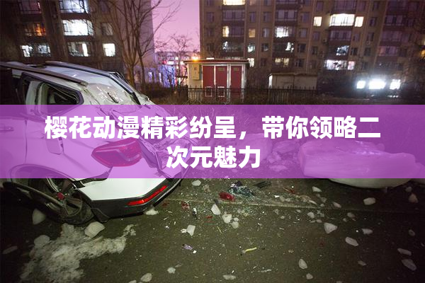 樱花动漫精彩纷呈，带你领略二次元魅力