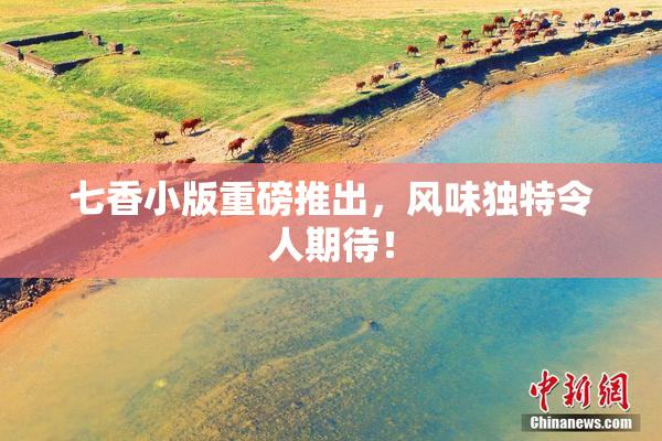 七香小版重磅推出，风味独特令人期待！