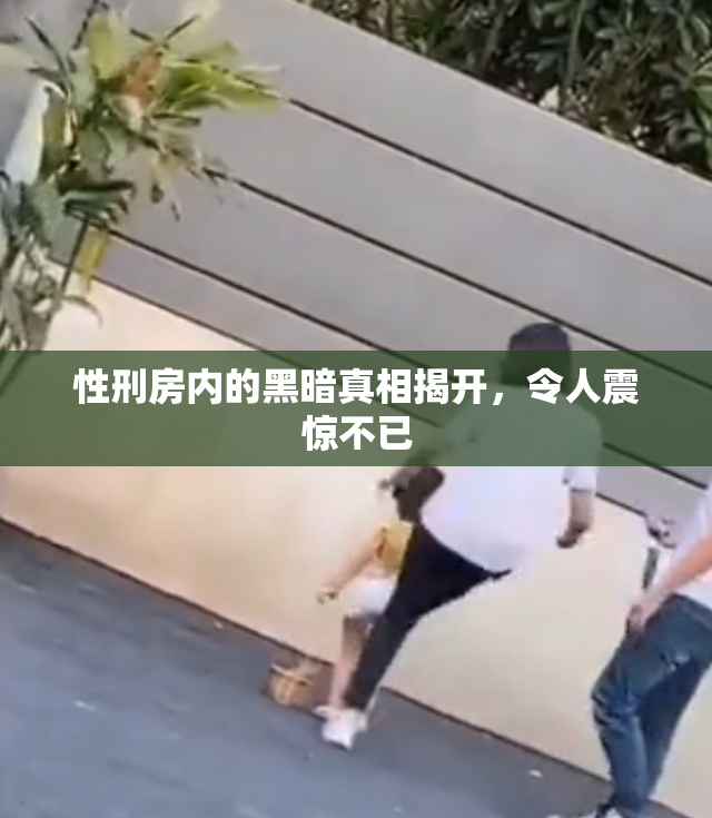 性刑房内的黑暗真相揭开，令人震惊不已