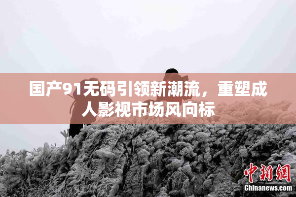 国产91无码引领新潮流，重塑成人影视市场风向标