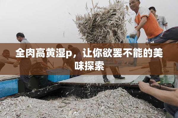 全肉高黄湿p，让你欲罢不能的美味探索