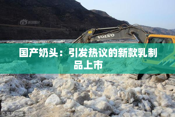 国产奶头：引发热议的新款乳制品上市