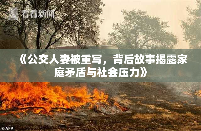 《公交人妻被重写，背后故事揭露家庭矛盾与社会压力》