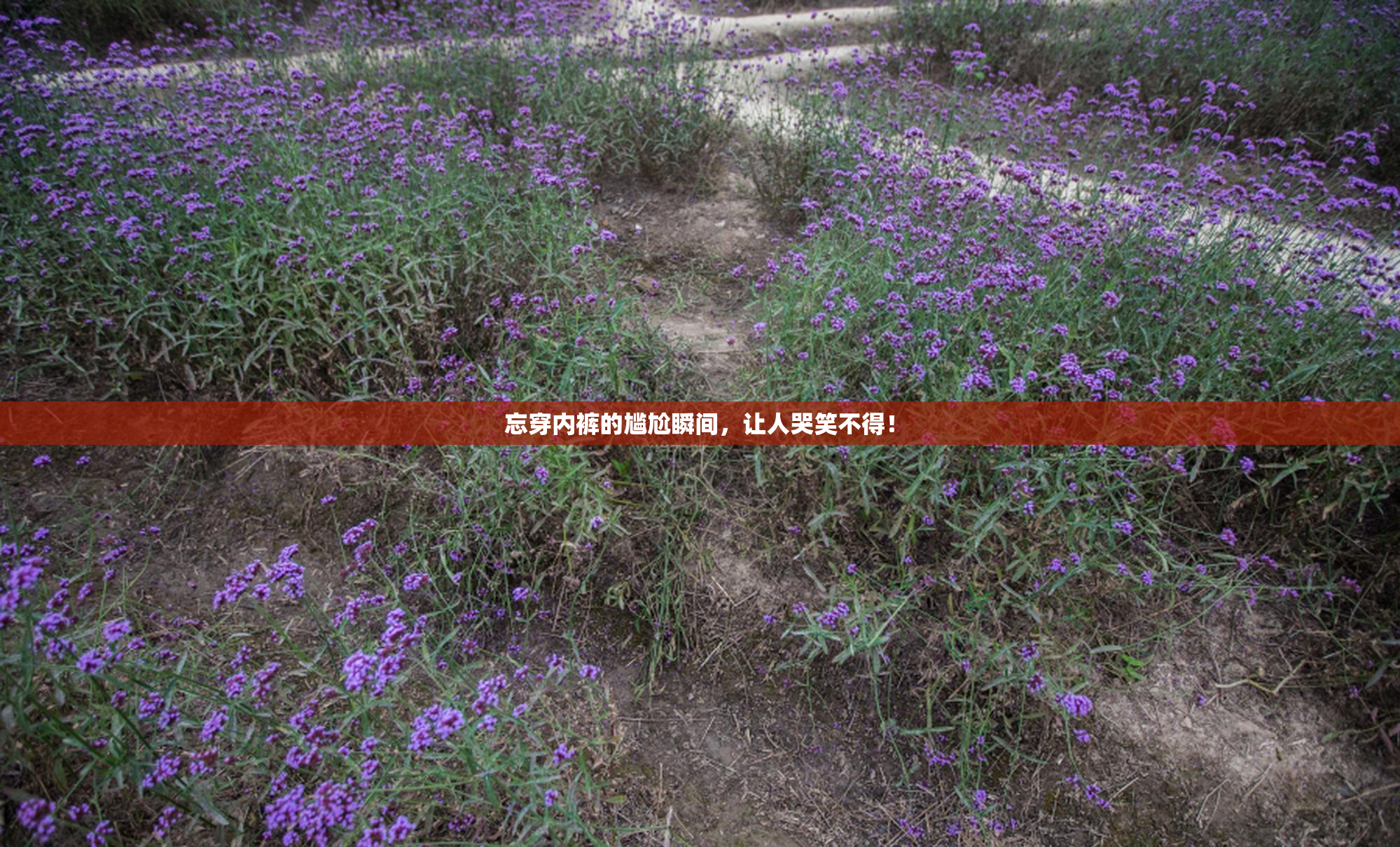 忘穿内裤的尴尬瞬间，让人哭笑不得！