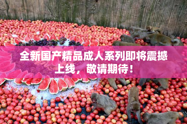 全新国产精品成人系列即将震撼上线，敬请期待！