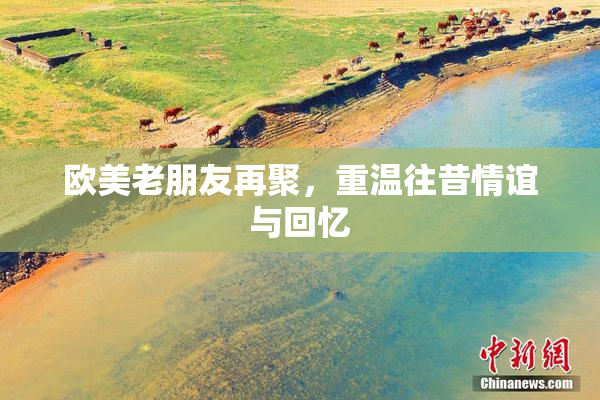 欧美老朋友再聚，重温往昔情谊与回忆
