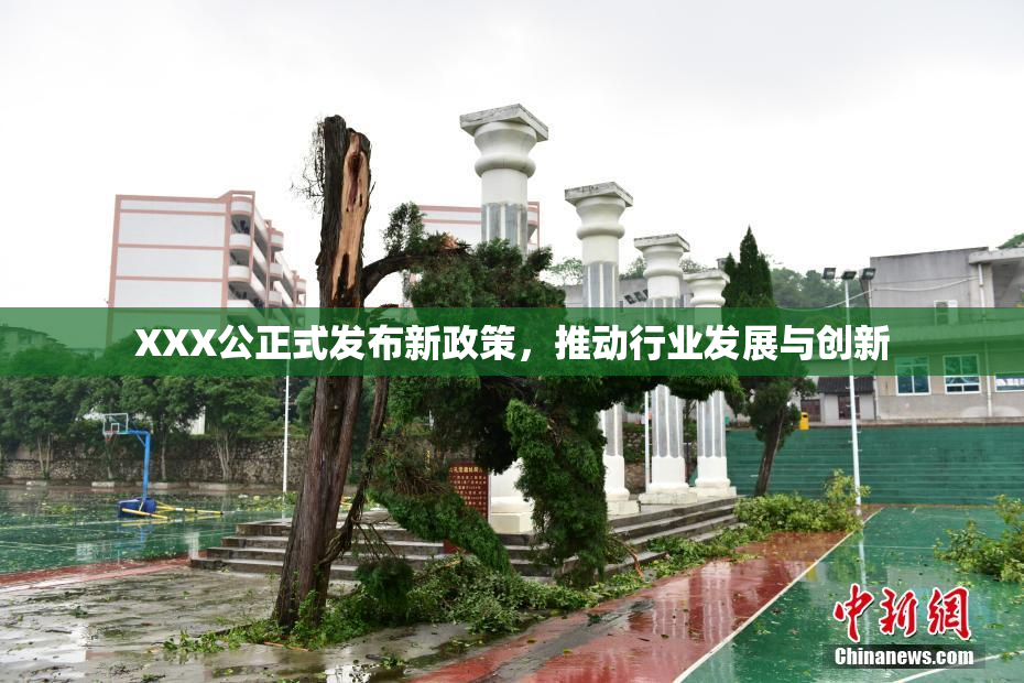 XXX公正式发布新政策，推动行业发展与创新
