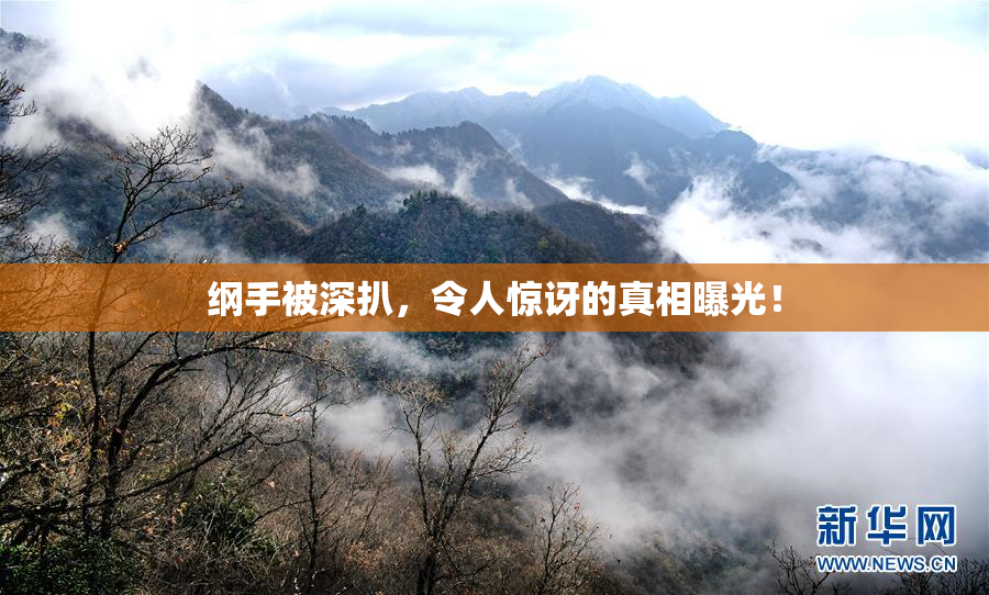 纲手被深扒，令人惊讶的真相曝光！