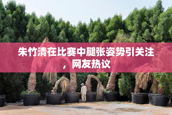 朱竹清在比赛中腿张姿势引关注，网友热议