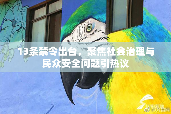 13条禁令出台，聚焦社会治理与民众安全问题引热议