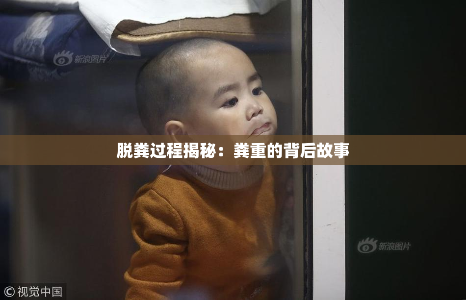 脱粪过程揭秘：粪重的背后故事