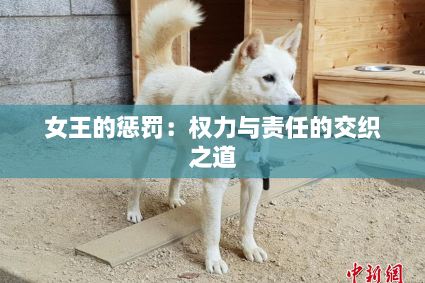 女王的惩罚：权力与责任的交织之道