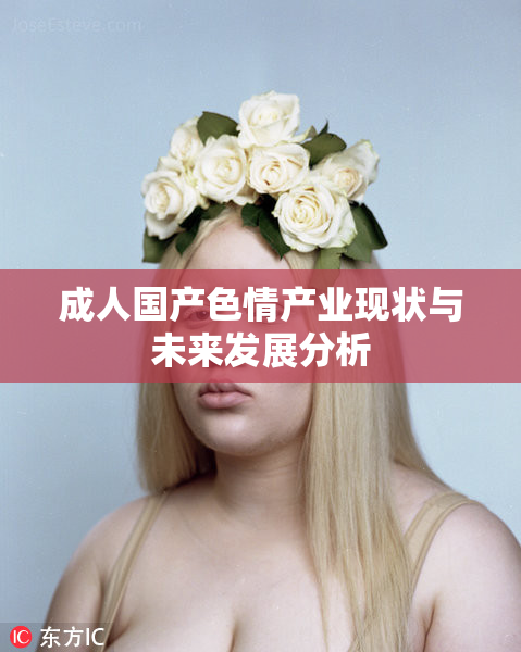 成人国产色情产业现状与未来发展分析