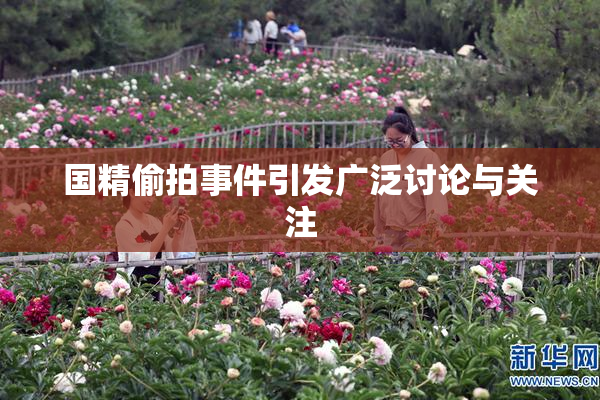 国精偷拍事件引发广泛讨论与关注