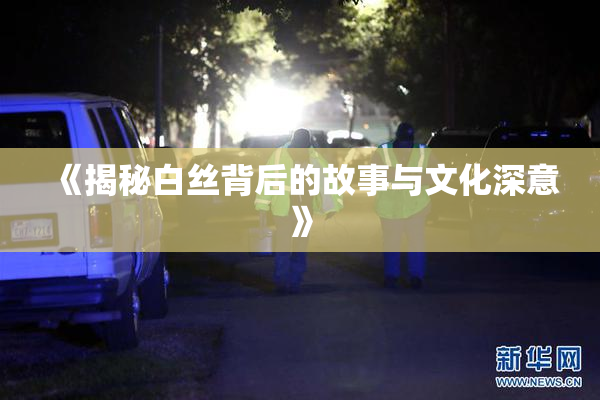 《揭秘白丝背后的故事与文化深意》