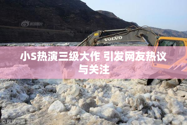小S热演三级大作 引发网友热议与关注