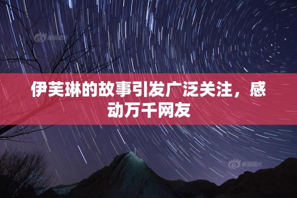 伊芙琳的故事引发广泛关注，感动万千网友