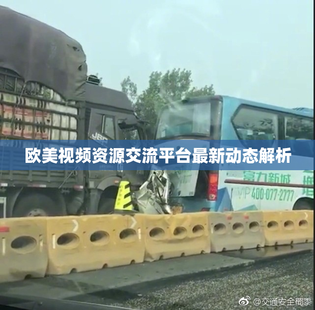 欧美视频资源交流平台最新动态解析