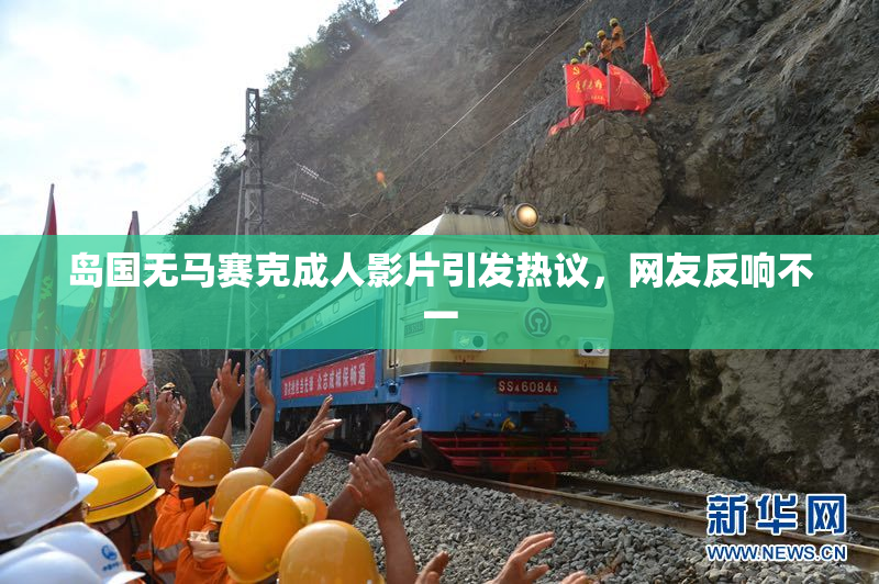 岛国无马赛克成人影片引发热议，网友反响不一