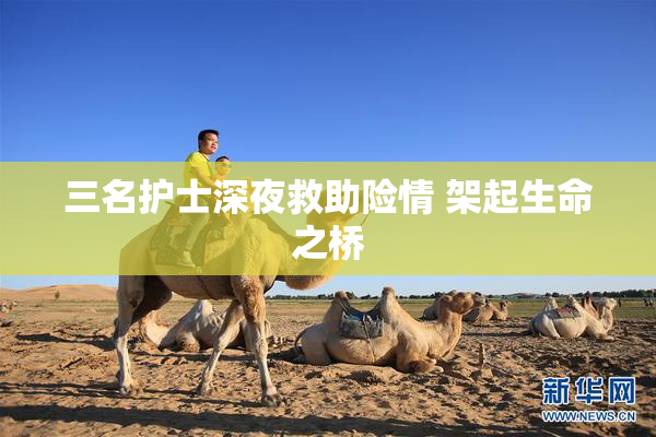 三名护士深夜救助险情 架起生命之桥