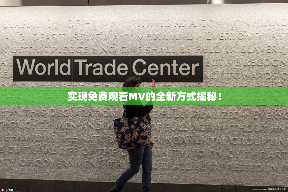实现免费观看MV的全新方式揭秘！