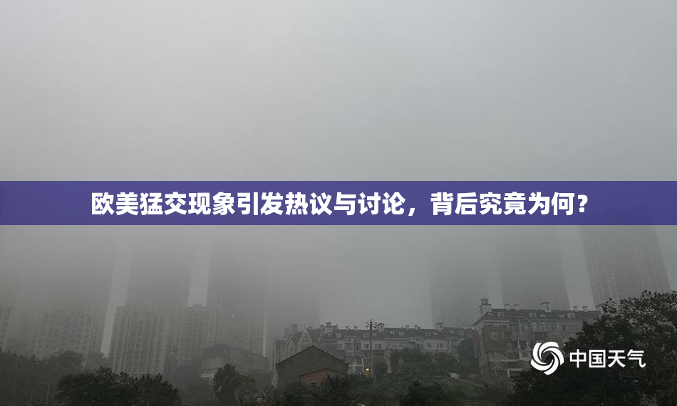 欧美猛交现象引发热议与讨论，背后究竟为何？
