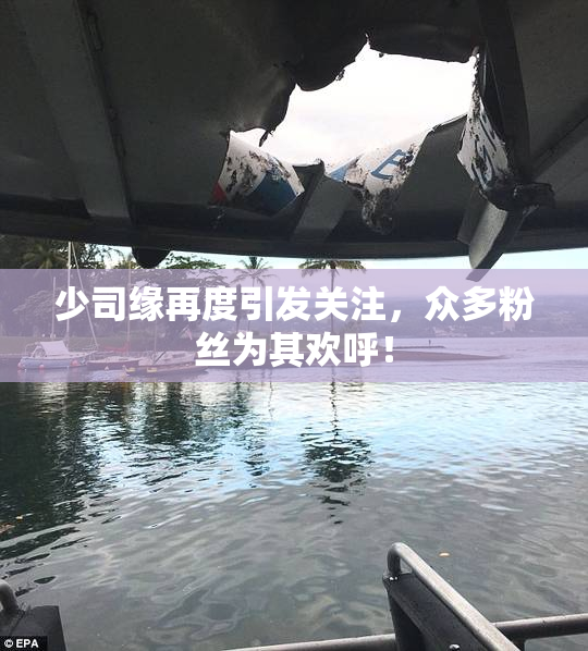 少司缘再度引发关注，众多粉丝为其欢呼！