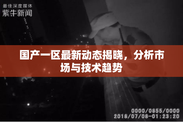 国产一区最新动态揭晓，分析市场与技术趋势