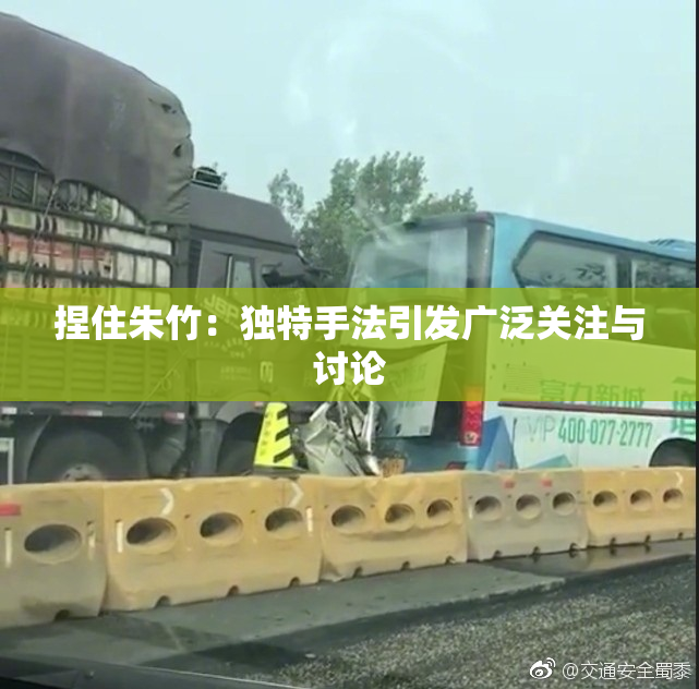捏住朱竹：独特手法引发广泛关注与讨论