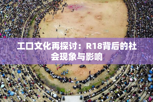 工口文化再探讨：R18背后的社会现象与影响