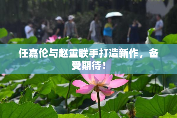 任嘉伦与赵重联手打造新作，备受期待！