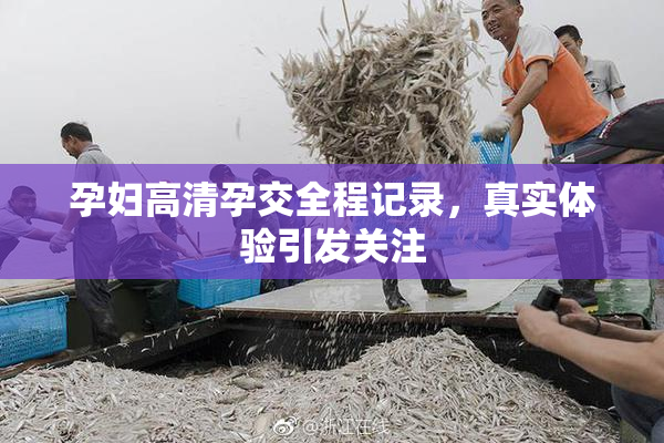 孕妇高清孕交全程记录，真实体验引发关注
