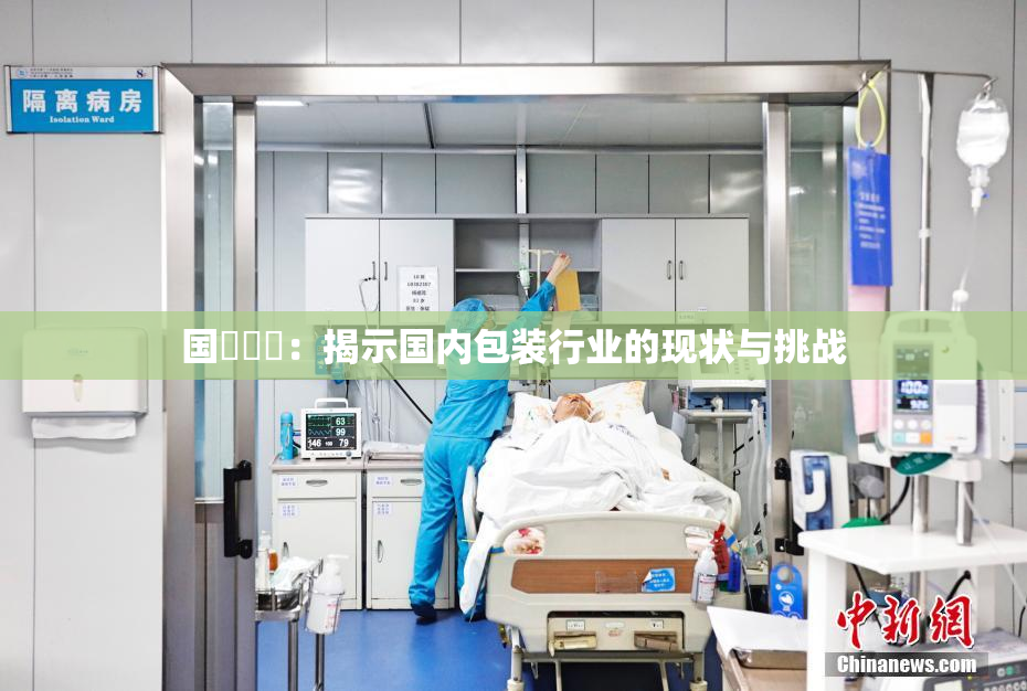 国產梱綁：揭示国内包装行业的现状与挑战