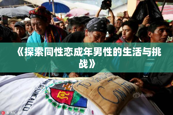 《探索同性恋成年男性的生活与挑战》