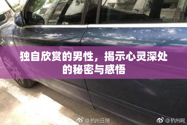 独自欣赏的男性，揭示心灵深处的秘密与感悟