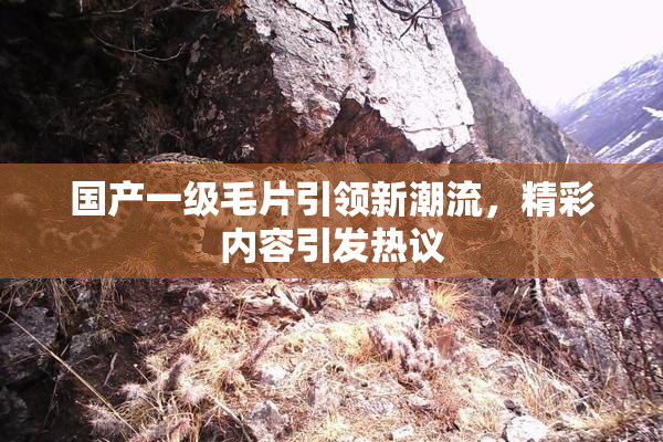 国产一级毛片引领新潮流，精彩内容引发热议