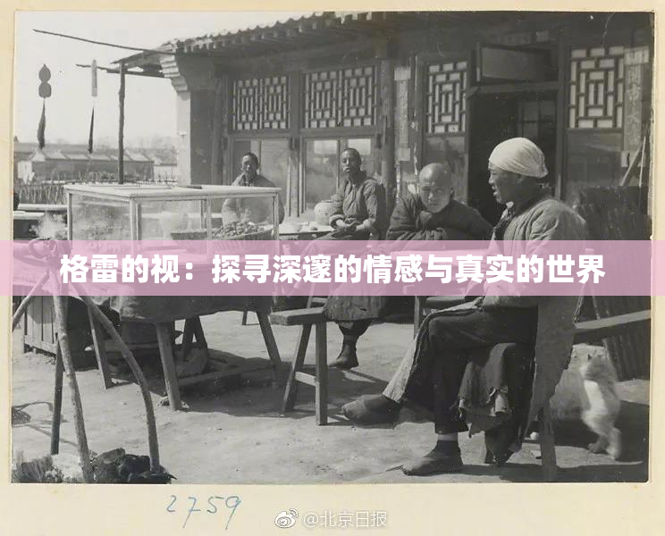 格雷的视：探寻深邃的情感与真实的世界
