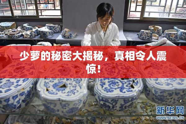 少萝的秘密大揭秘，真相令人震惊！