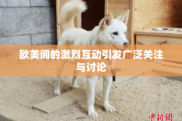 欧美间的激烈互动引发广泛关注与讨论
