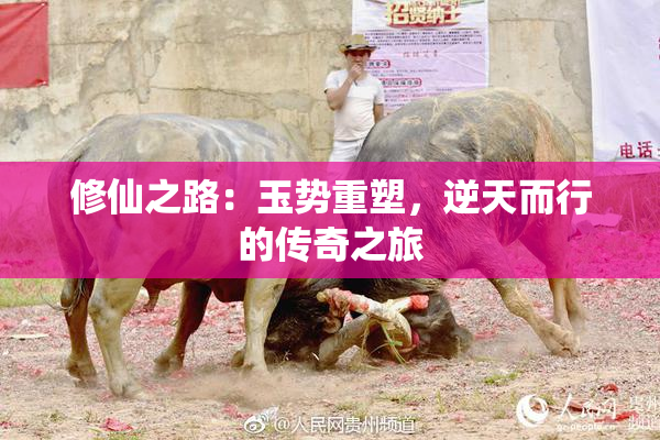 修仙之路：玉势重塑，逆天而行的传奇之旅