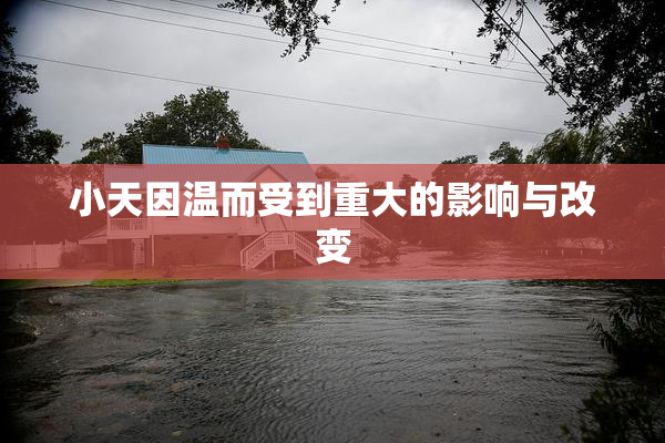 小天因温而受到重大的影响与改变