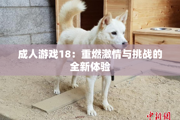 成人游戏18：重燃激情与挑战的全新体验