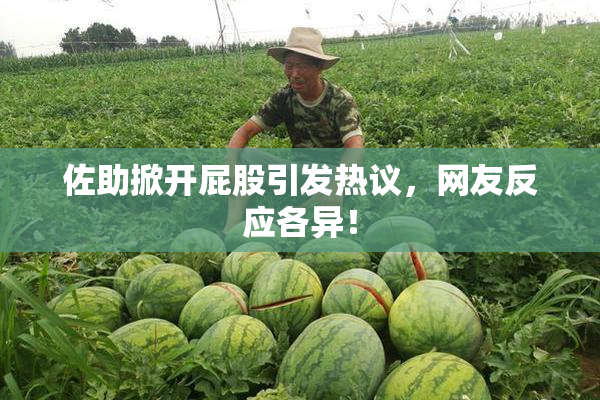 佐助掀开屁股引发热议，网友反应各异！