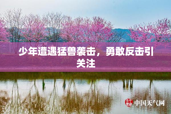 少年遭遇猛兽袭击，勇敢反击引关注