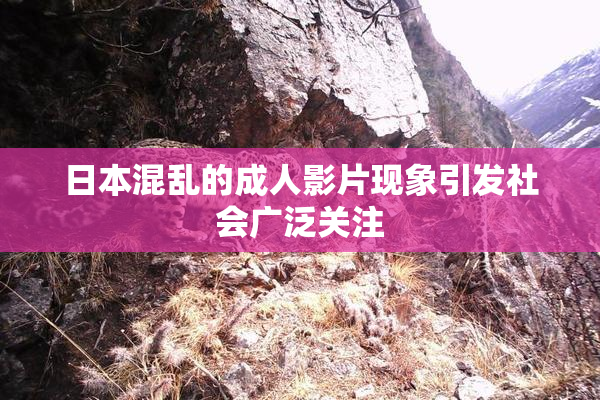 日本混乱的成人影片现象引发社会广泛关注