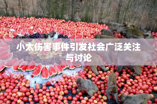 小太伤害事件引发社会广泛关注与讨论