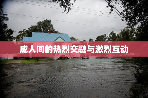 成人间的热烈交融与激烈互动