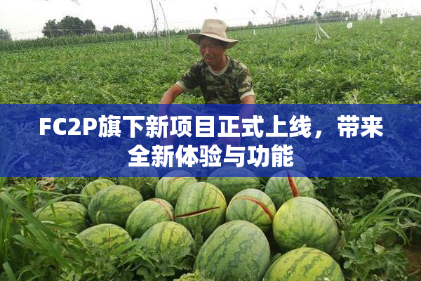 FC2P旗下新项目正式上线，带来全新体验与功能