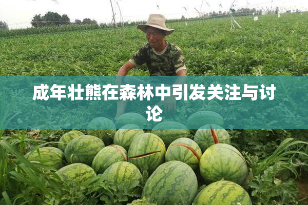 成年壮熊在森林中引发关注与讨论